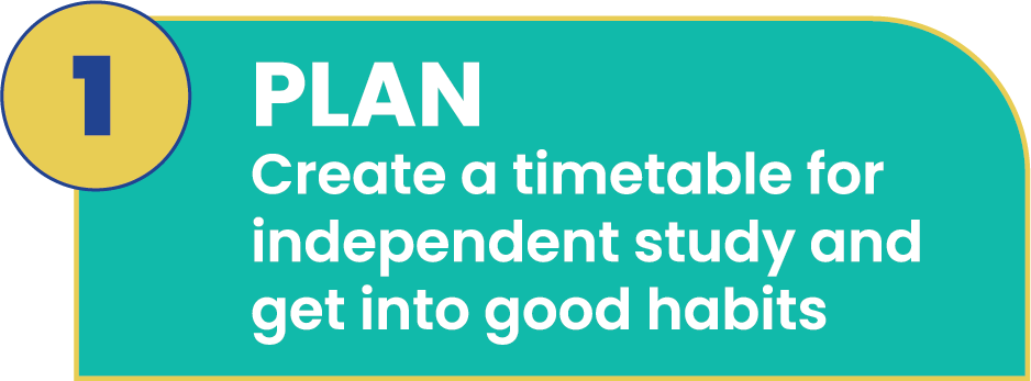 The Revision and Practice Journey Plan