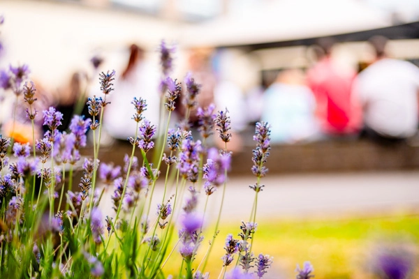 LR 14072025 MUSIC AWARDS WEBSITE  13