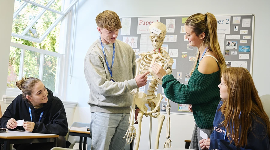 Students highlighting parts of a skeleton